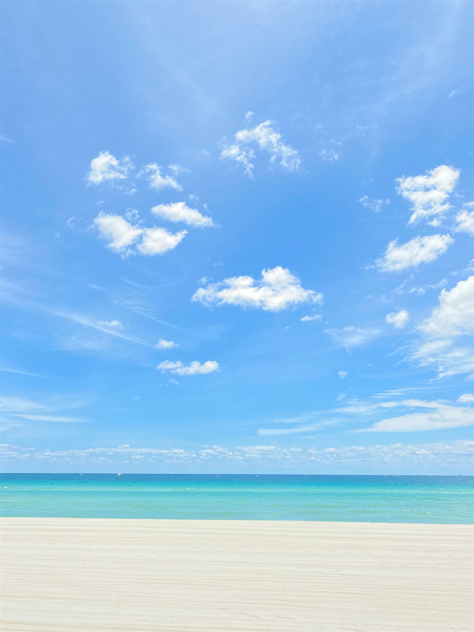 Sunny South Florida coastline
